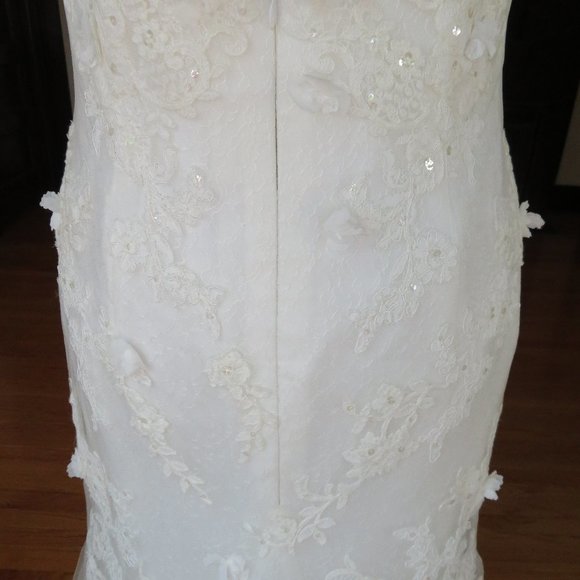 La Sposa by Pronovias Wedding Dress Rochelle - Picture 11 of 13